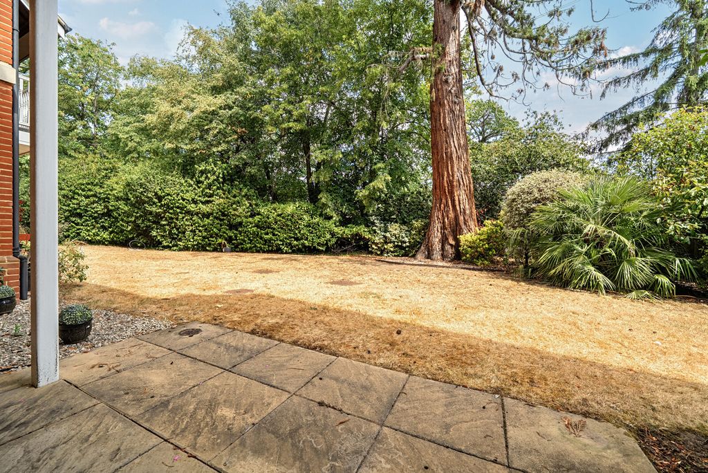 Property photo 2 of 16 6-6A688c053853c-1...