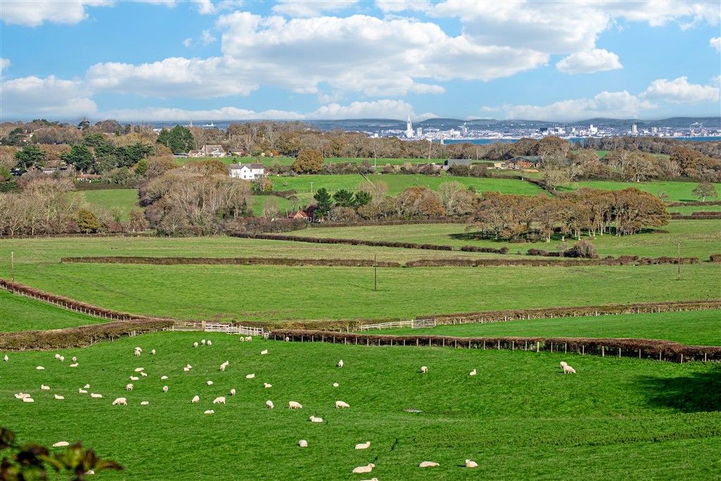 Property photo 2 of 20 Aerial Main Elevation
