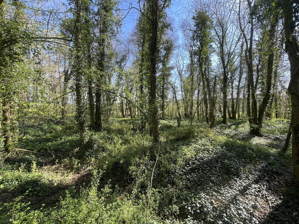 Additional image 6 of Land for saleBradford Lane, Longburton, Sherborne DT9