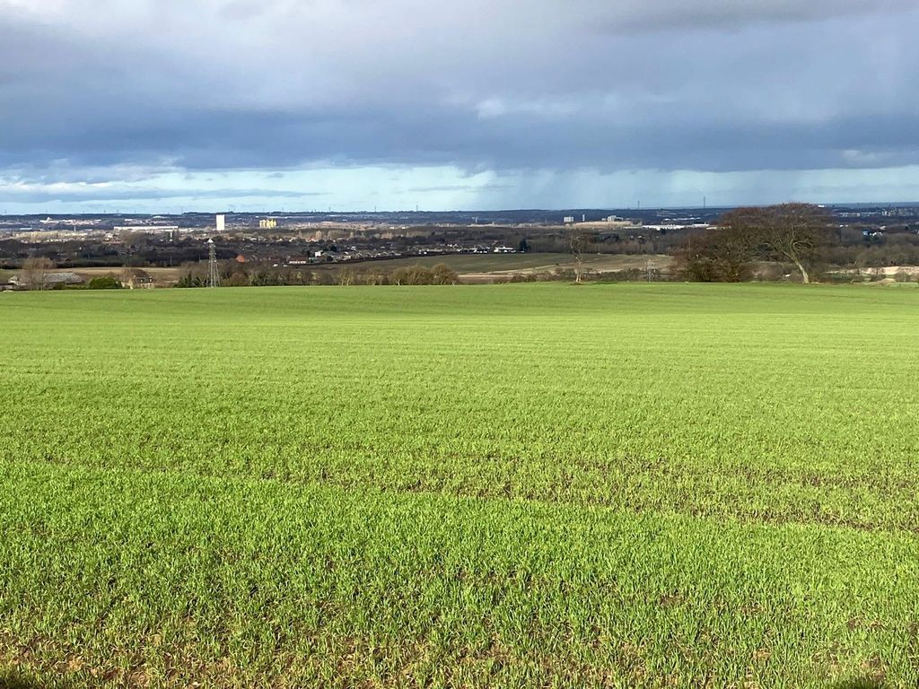 Property photo 3 of 5 Picture No. 05