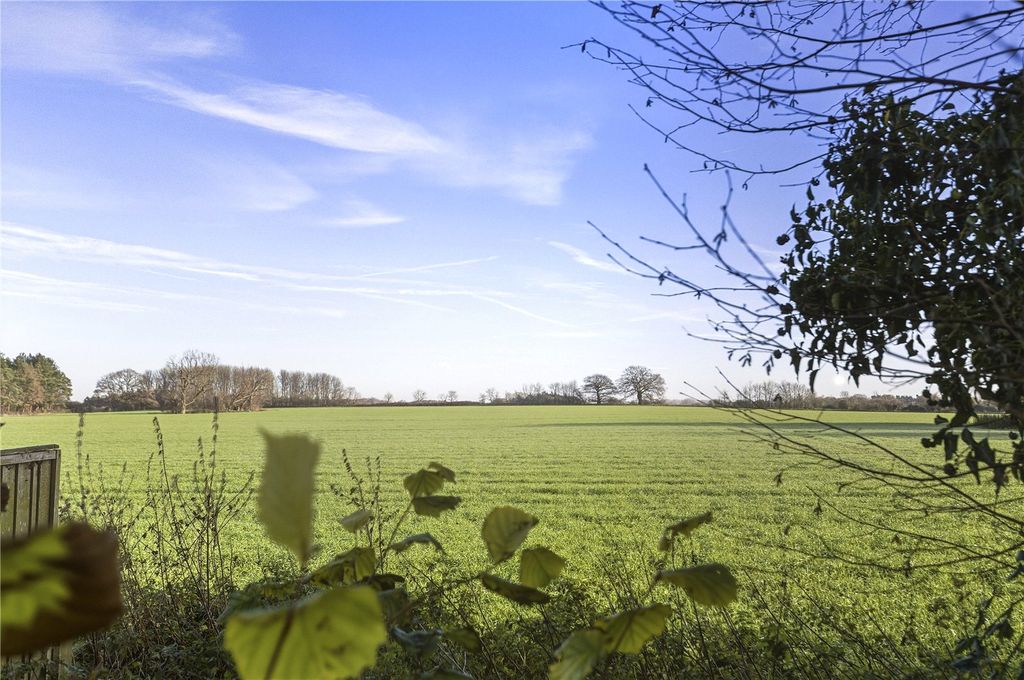 Property photo 3 of 37 Picture No. 39