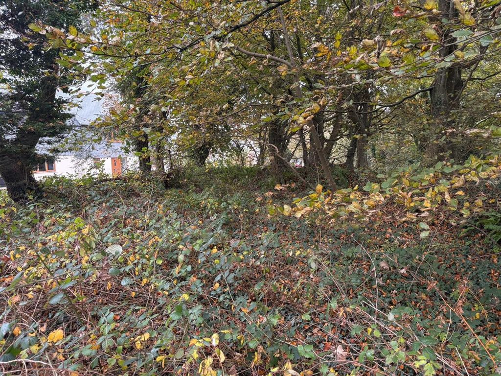 Additional image 6 of Land for saleTrewint, Launceston PL15