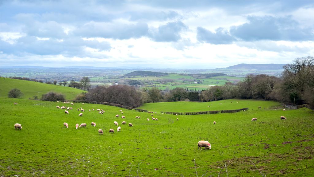 Property photo 2 of 20 Picture No. 23