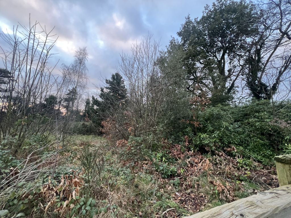 Property photo 1 of 2