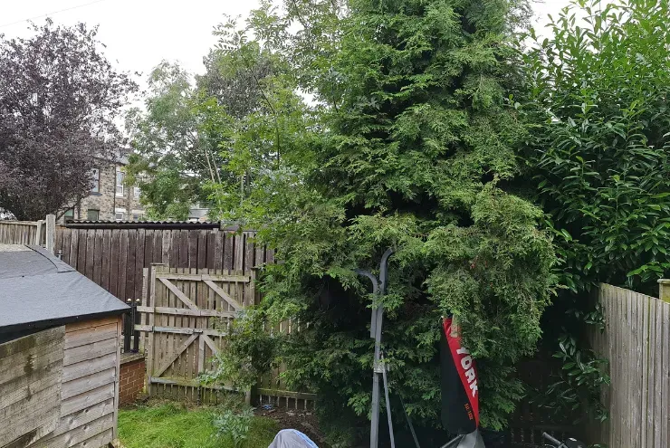 Property photo 3 of 11
