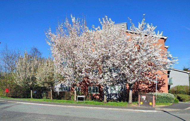 Property photo 2 of 16 Picture No. 17