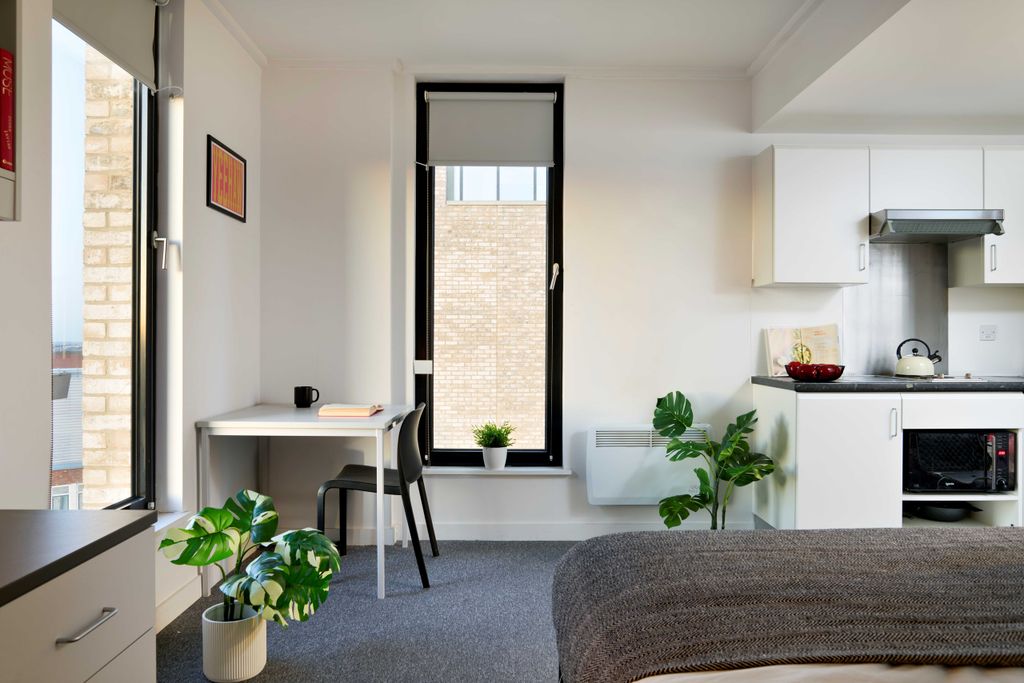 Property photo 2 of 7 Gold Studio Kitchen