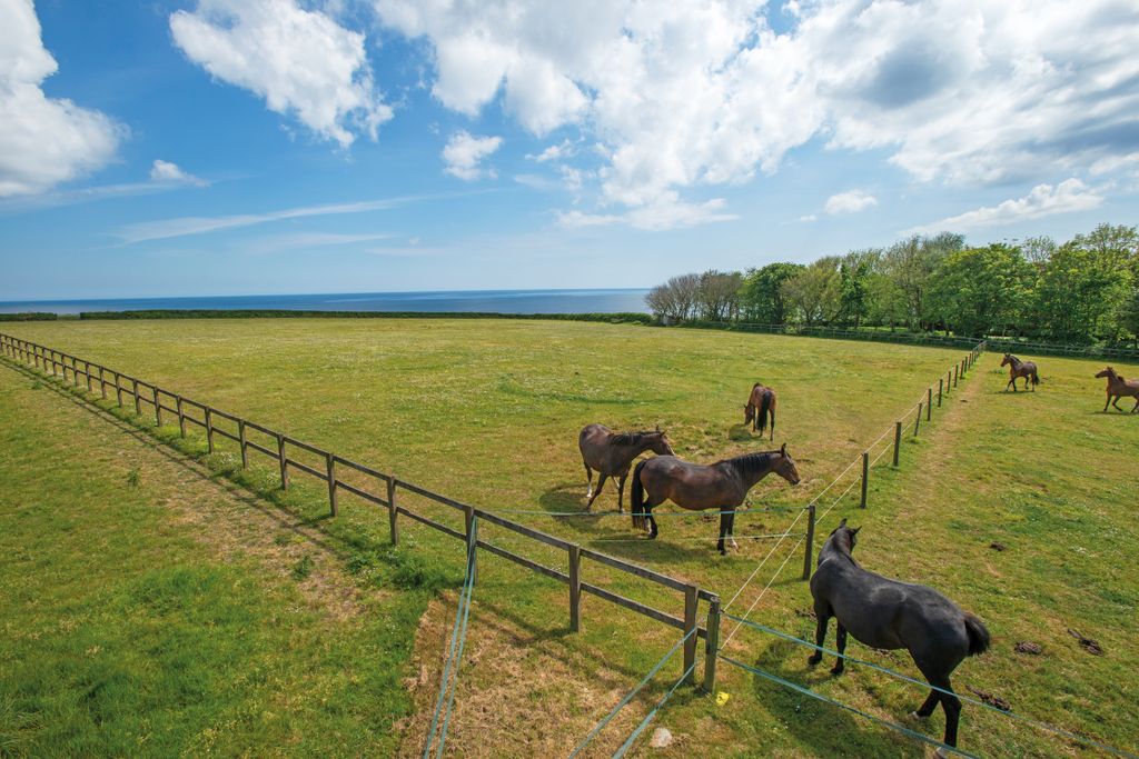 Additional image 30 of 6 bed detached house for salePortscatho, Truro TR2
