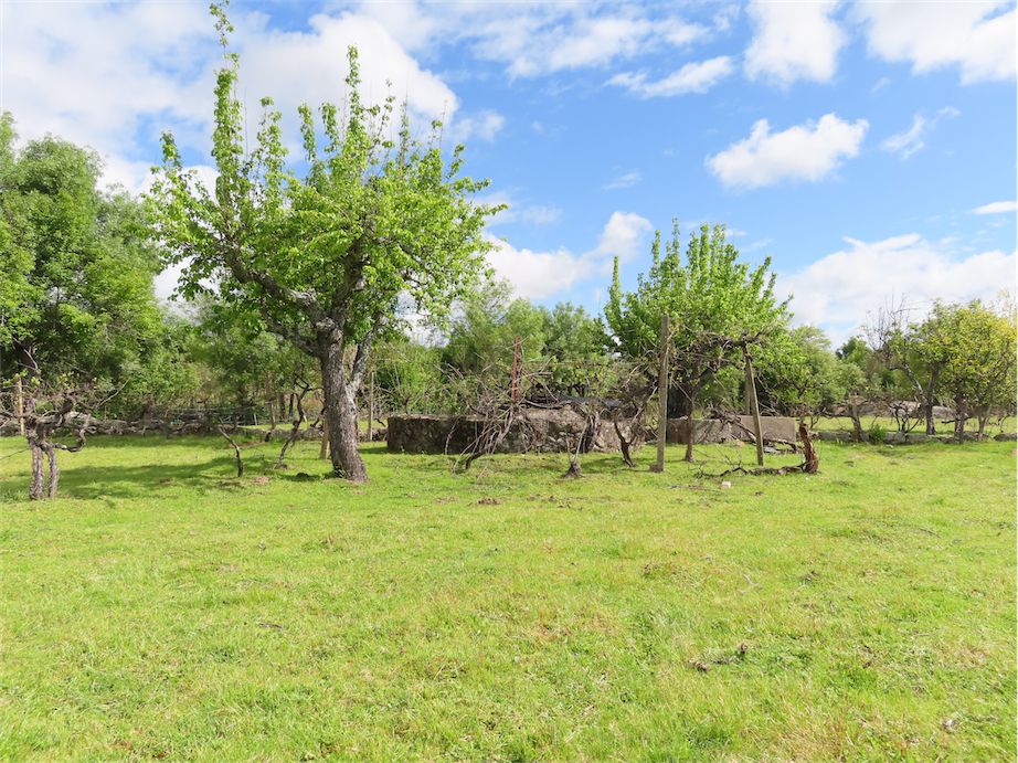 Property photo 1 of 40
