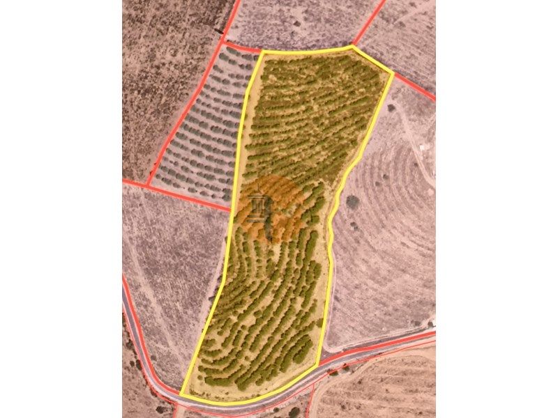 Property photo 2 of 33