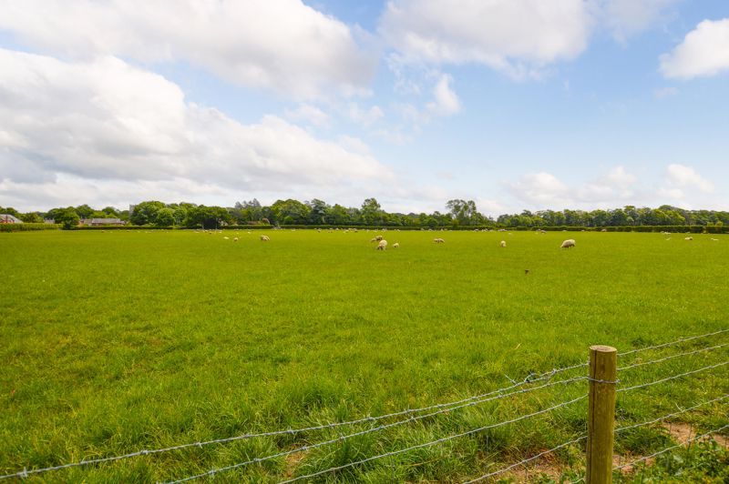 Property photo 3 of 25 Photo 11