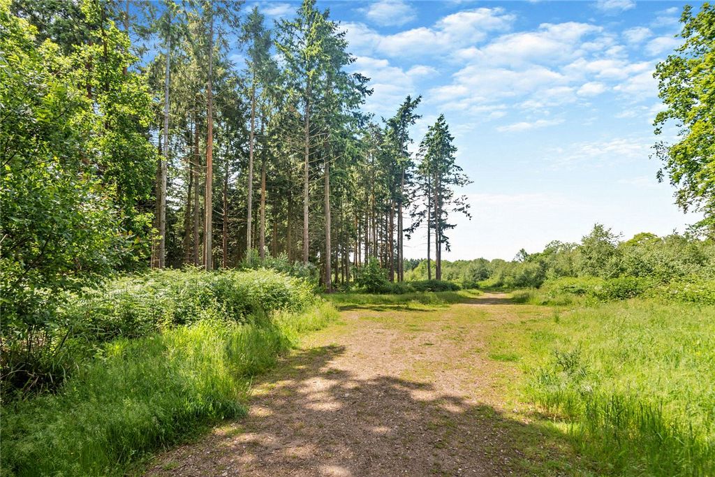 Property photo 3 of 14 Picture No. 12