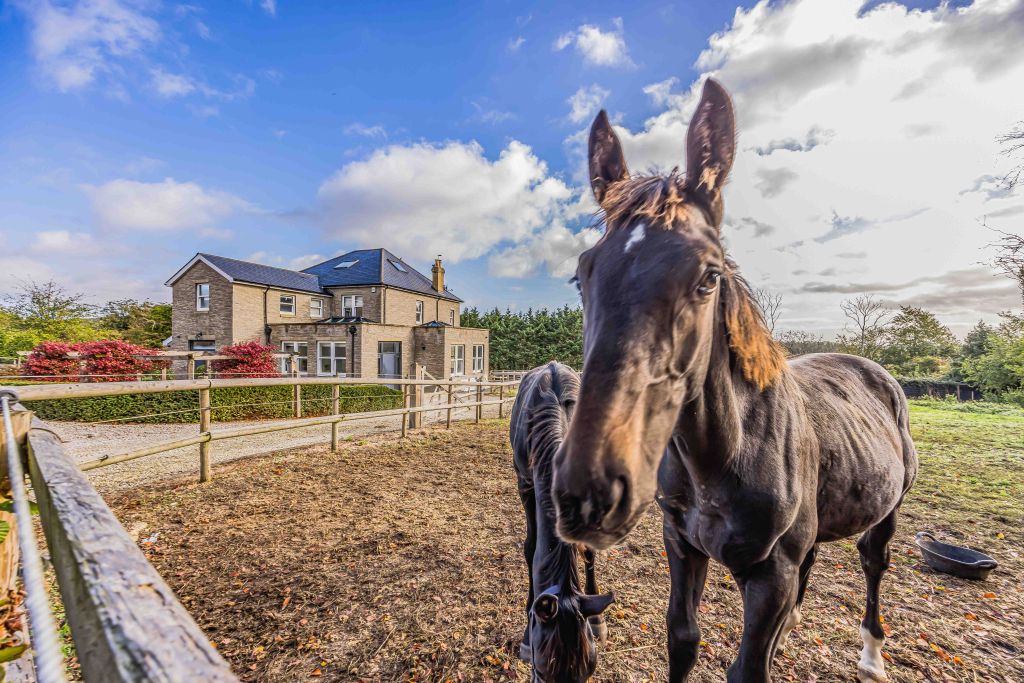 Property photo 1 of 41 Highbank House, Gravel Hill, Clanfield-Small-Porti