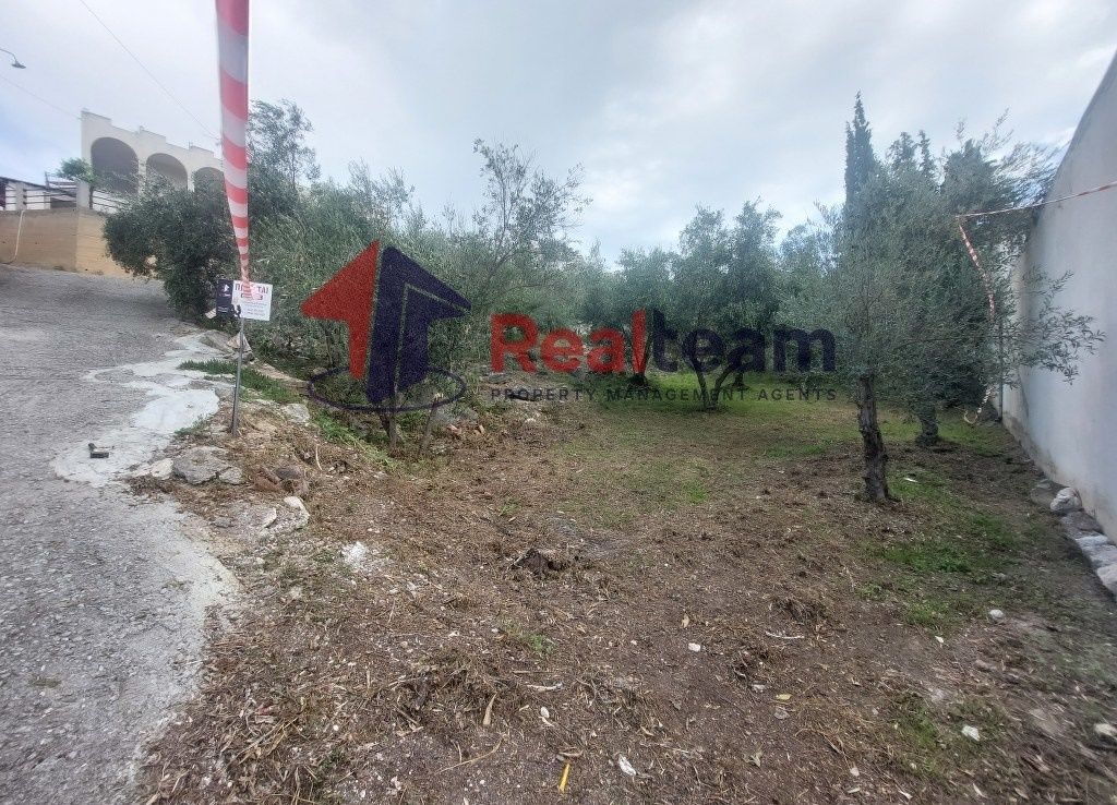 Property photo 3 of 24