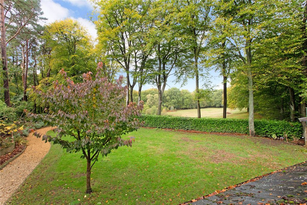 Property photo 3 of 27 Rear Garden