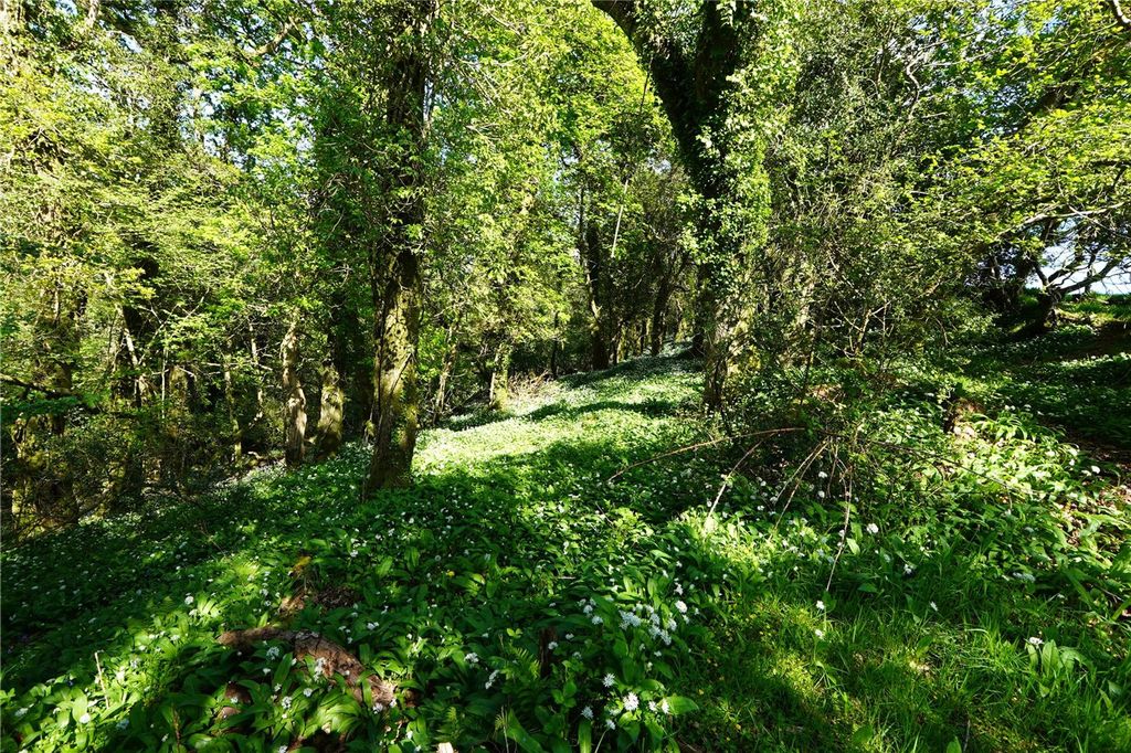 Additional image 4 of Land for saleSt. Keyne, Liskeard PL14