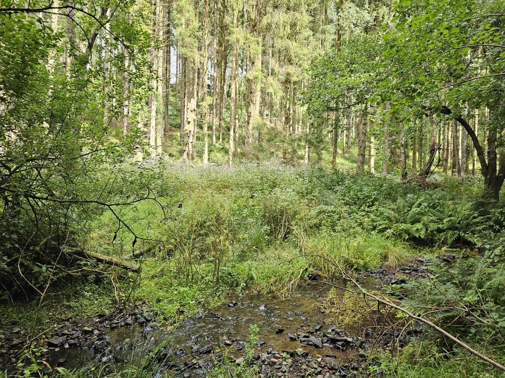 Property photo 3 of 8 Heathcote Wood