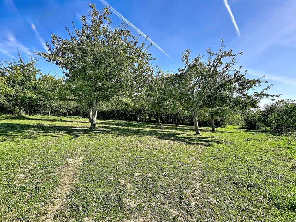 Property photo 3 of 17 Photo 4