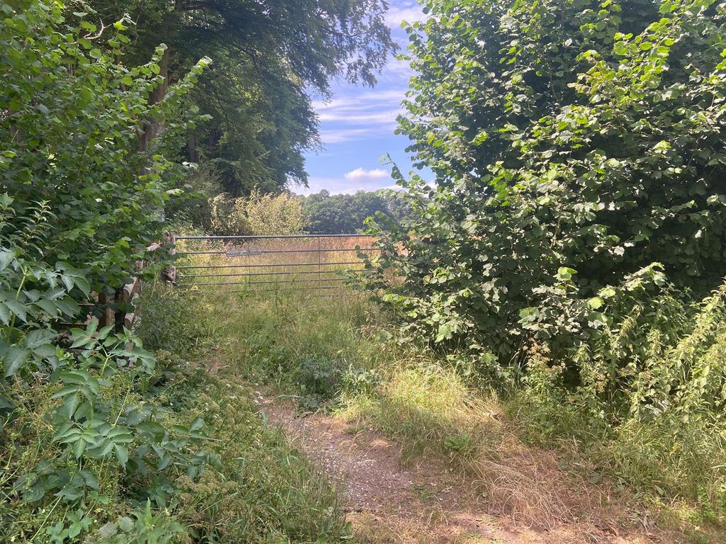 Additional image 9 of Land for saleHambledon Road, Hydestile, Godalming GU8
