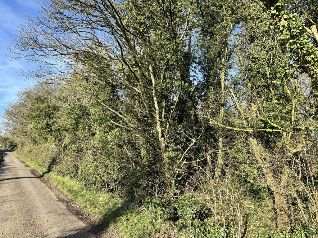 Property photo 2 of 4