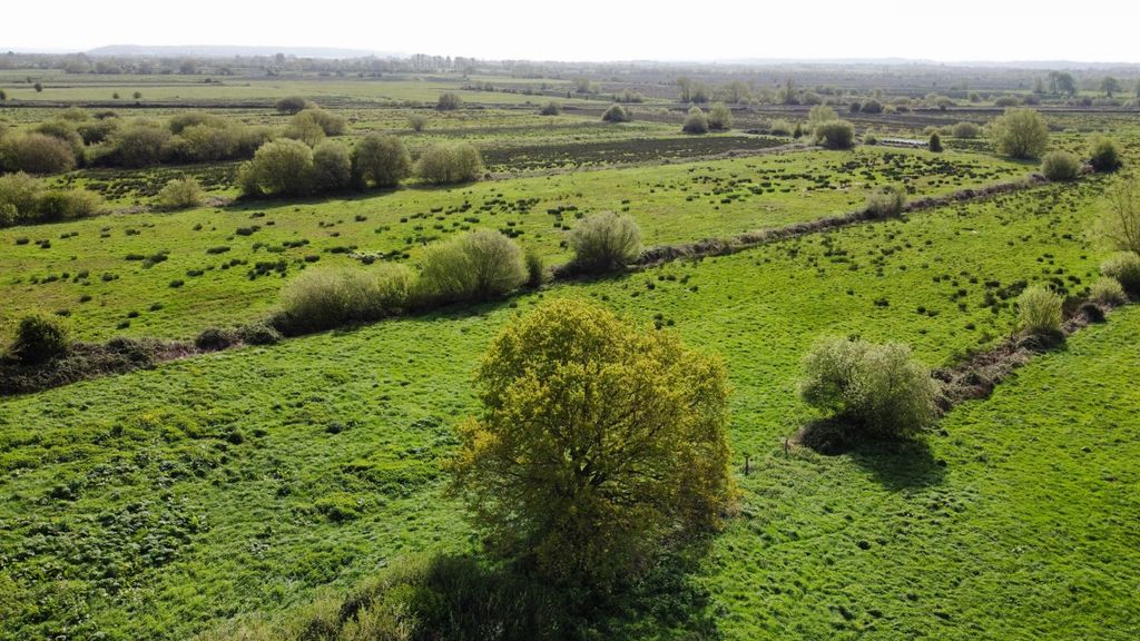 Property photo 2 of 16 Picture No. 01