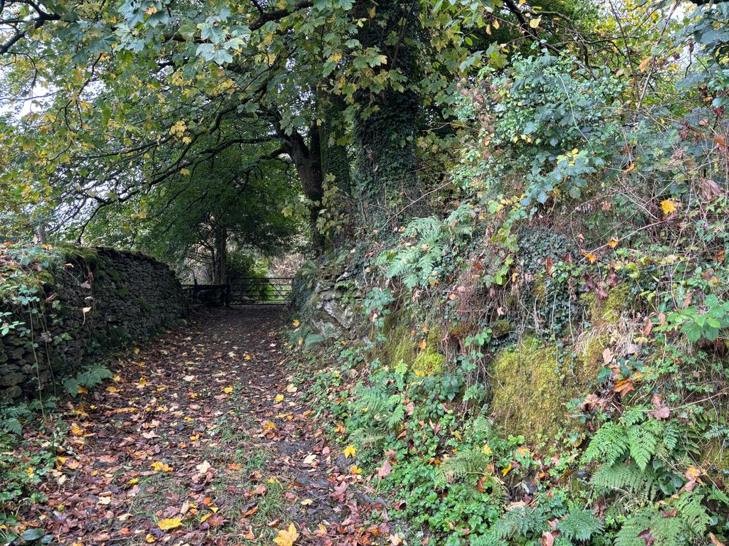 Additional image 29 of 4 bed farm for saleLlanddewi Brefi, Tregaron SY25