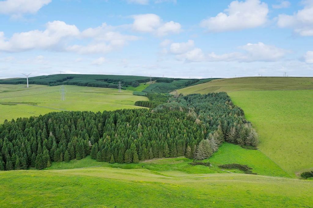 Additional image 5 of Land for saleForestry Land, Hartside Wood, Lauder, Scottish Borders TD26Pu TD2
