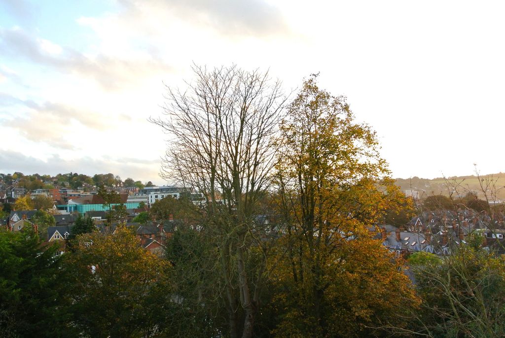 Property photo 3 of 9 View