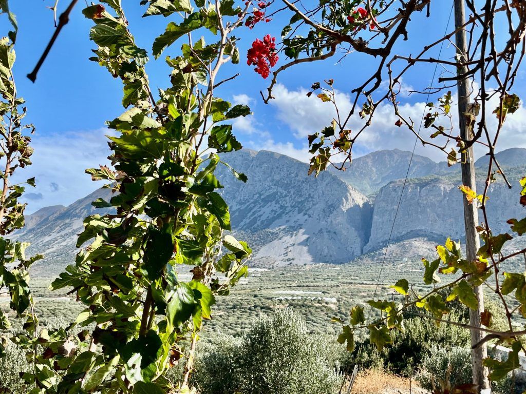 Property photo 3 of 22