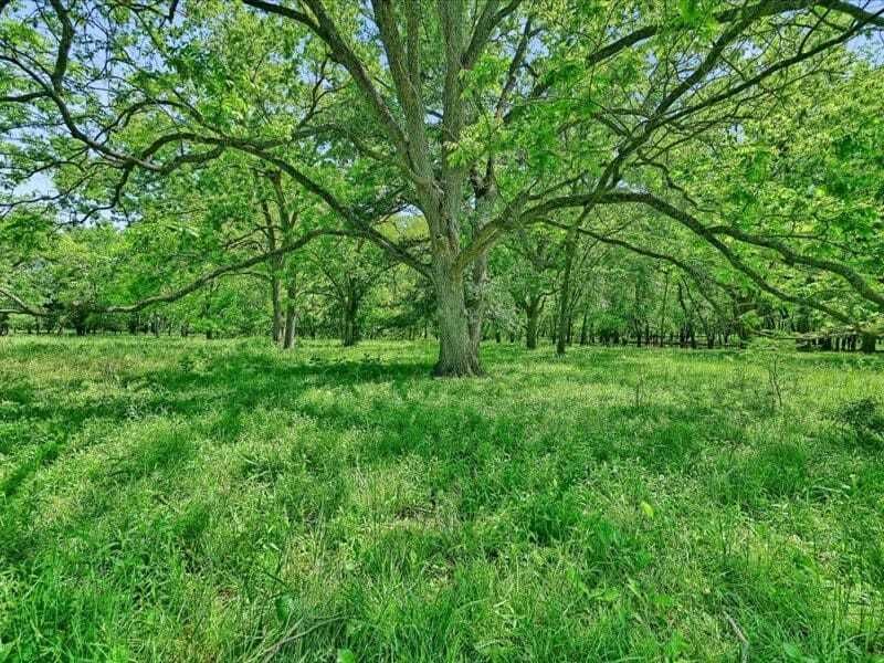 Property photo 1 of 31