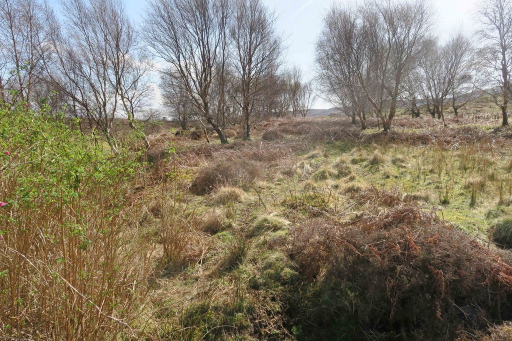 Additional image 6 of Land for salePlot B, 11 Skinidin, Dunvegan, Isle Of Skye IV55