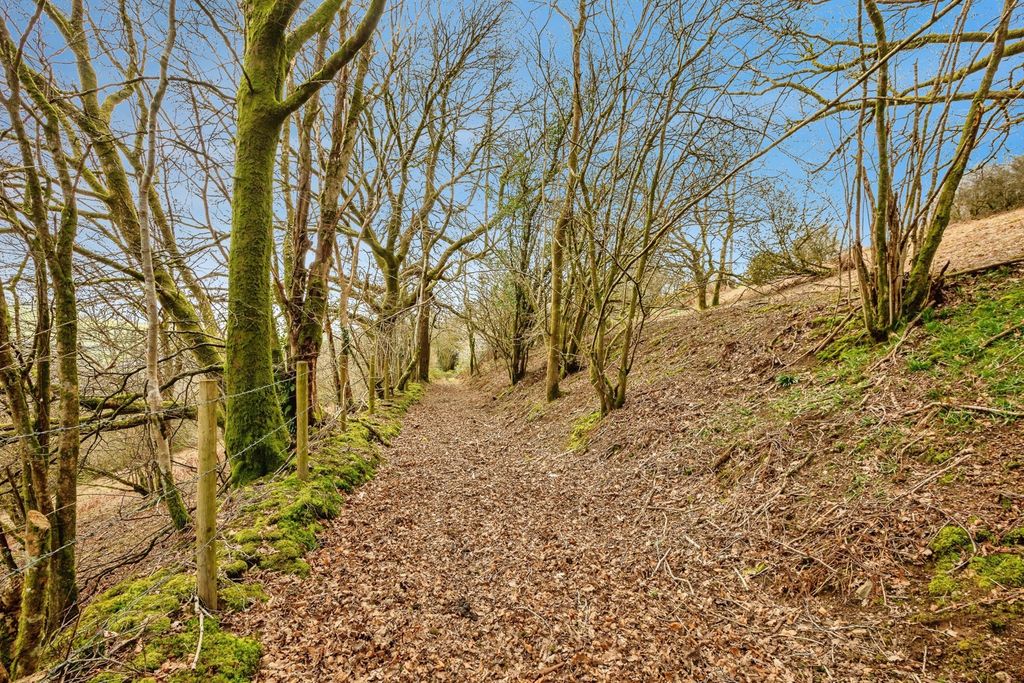 Additional image 38 of 3 bed cottage for salePencader, Carmarthenshire SA39