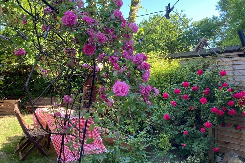 Property photo 2 of 19 Photo 2