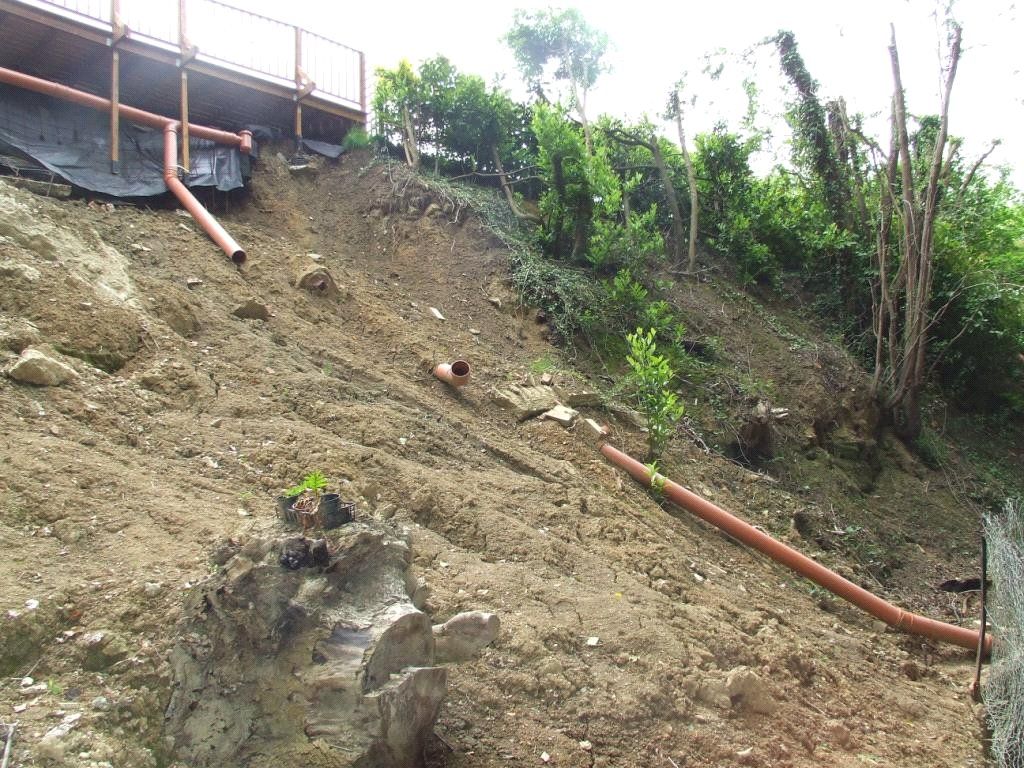 Property photo 3 of 29 Garden Landslip