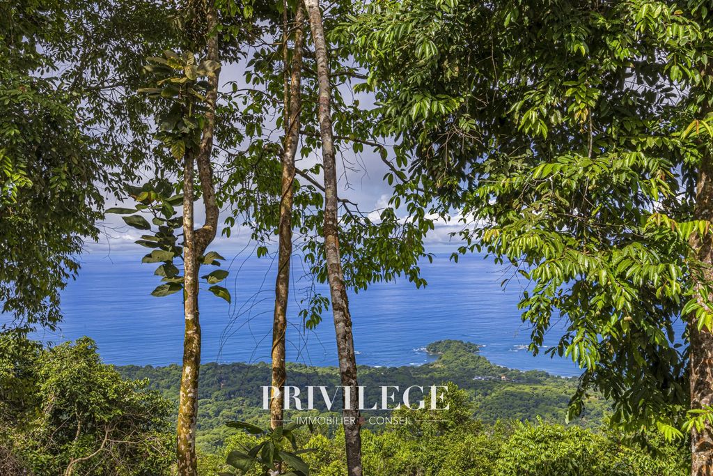 Property photo 3 of 41