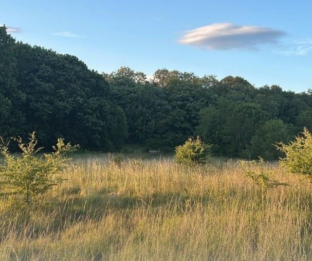 Property photo 1 of 3