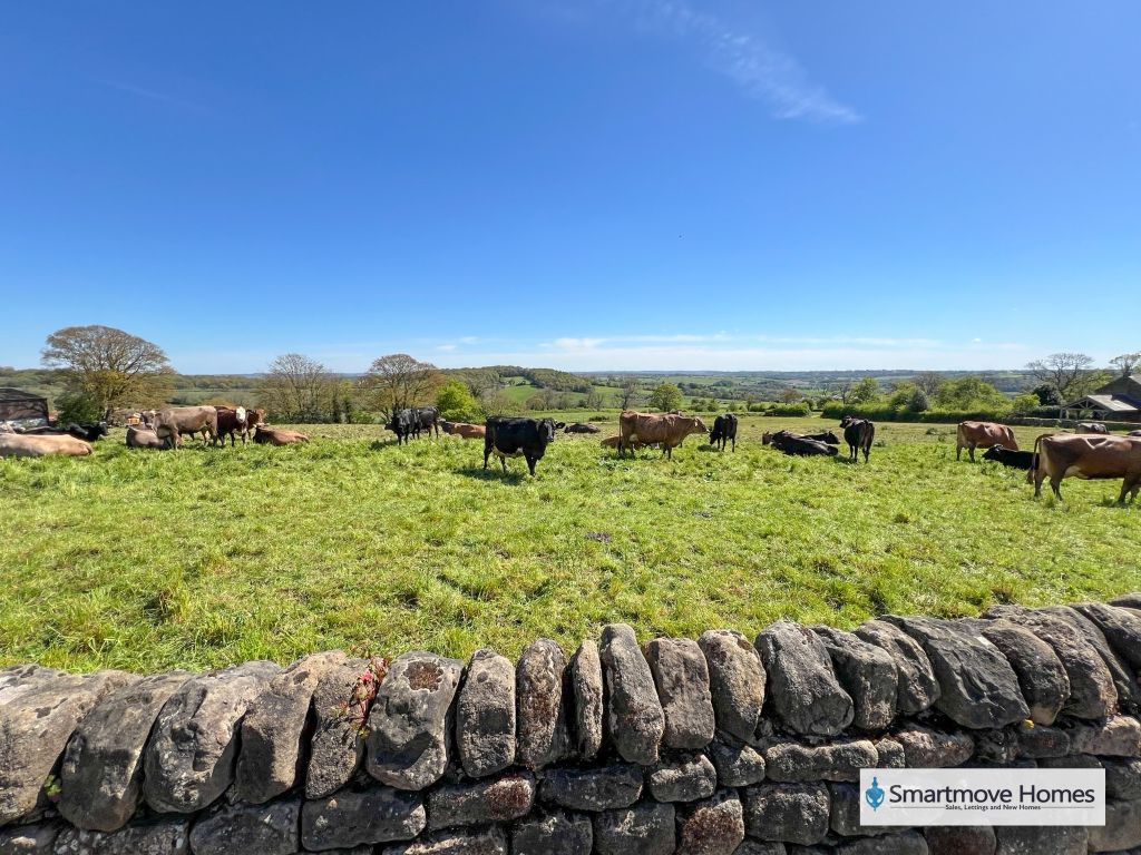 Property photo 2 of 18 Img_6816