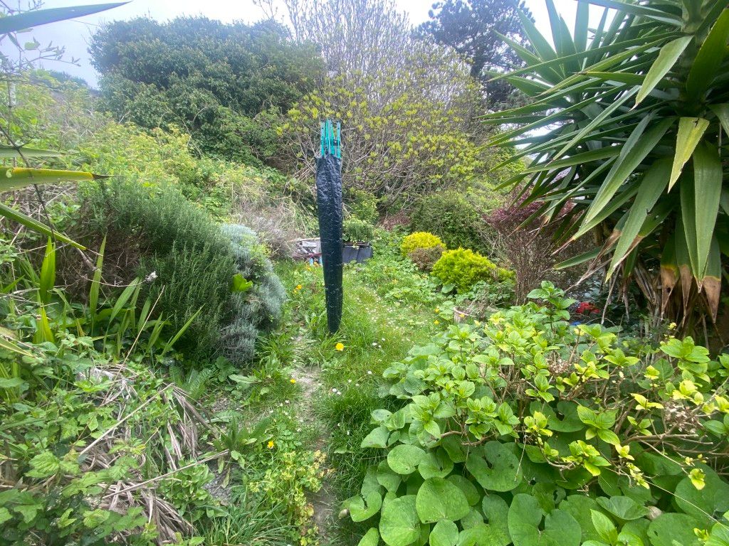 Property photo 2 of 4 Garden Area With Seasonal Growth