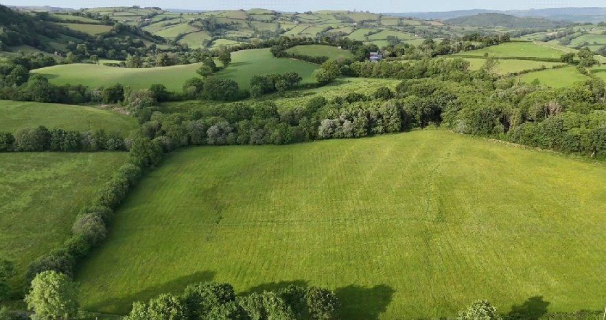 Property photo 1 of 2 Picture No. 02