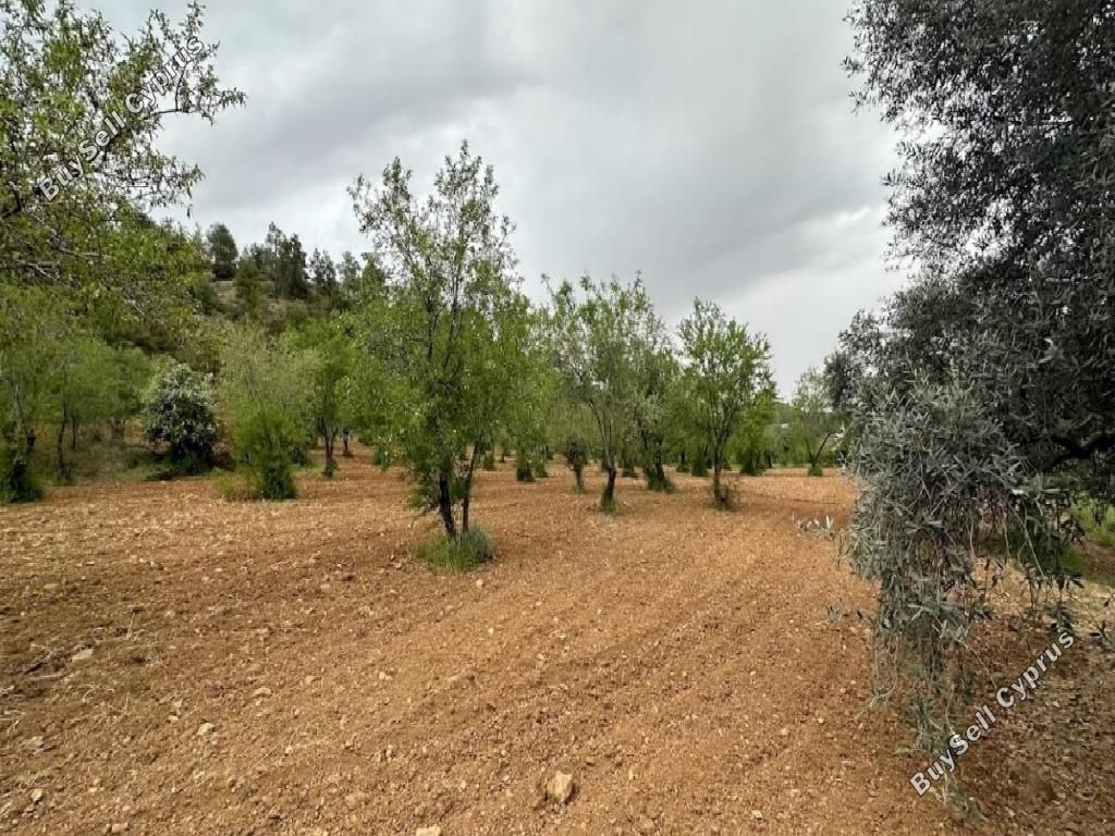 Property photo 3 of 12