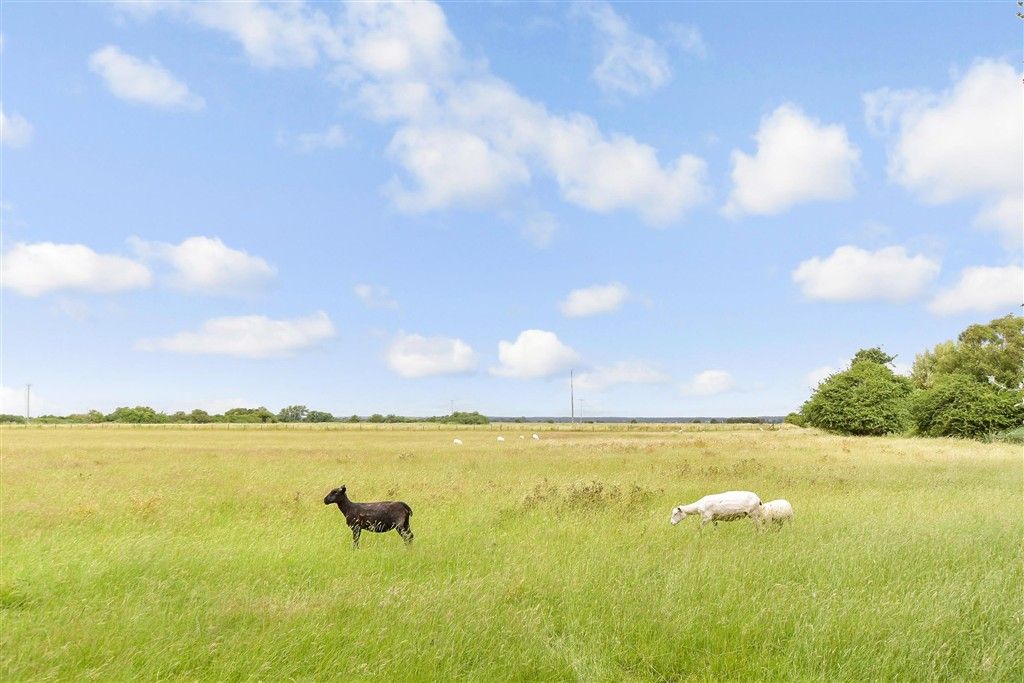 Property photo 2 of 12 Views To Rear