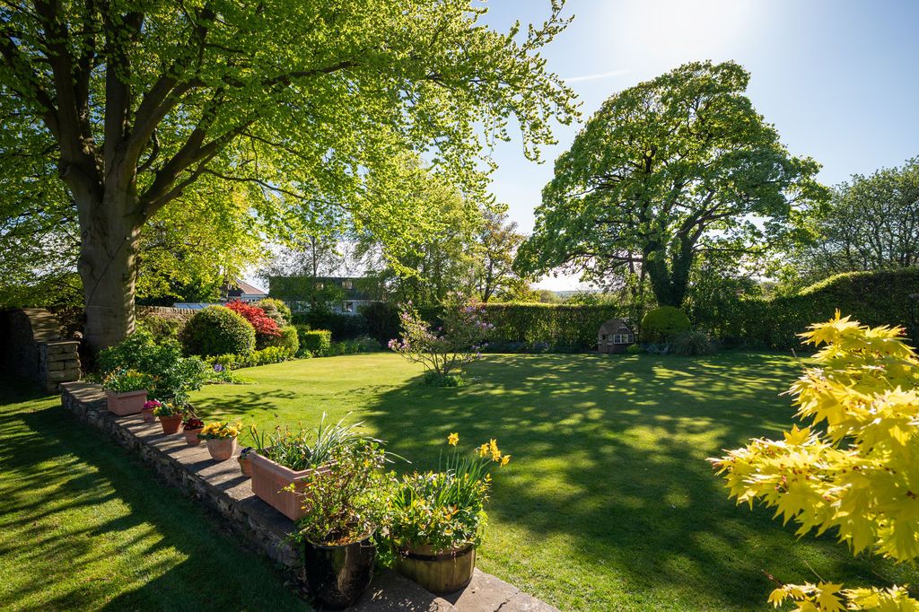 Property photo 2 of 50 Rear Garden
