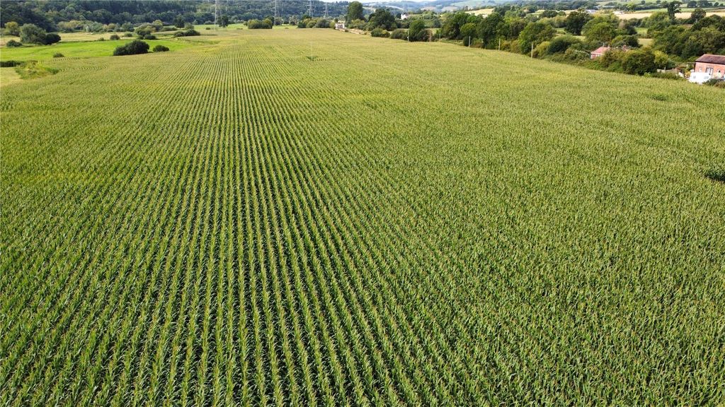 Property photo 1 of 6 Picture No. 11