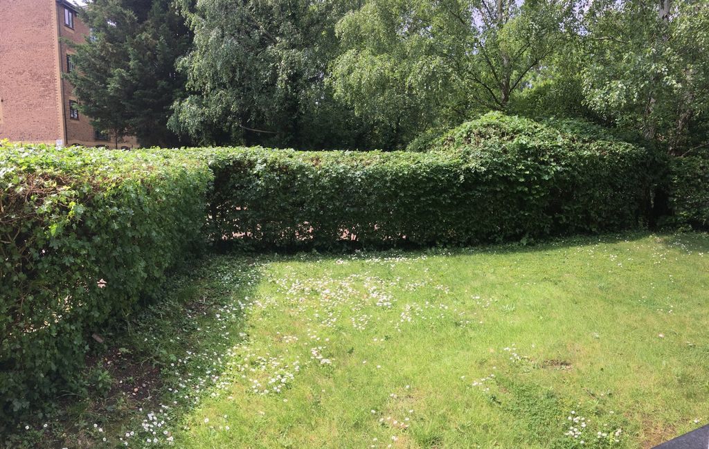Property photo 3 of 13 Photo 2