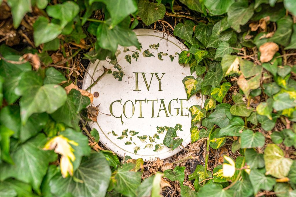 Property photo 2 of 25 Picture No. 22