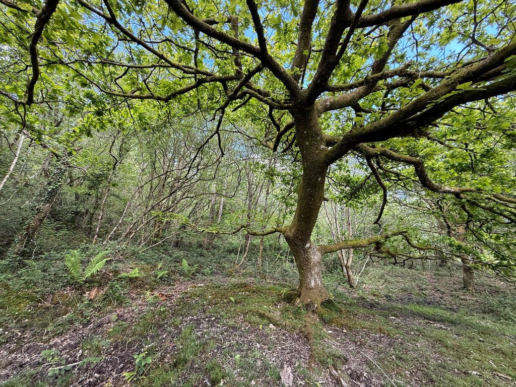 Additional image 4 of Farm for saleYnyswen, Penycae SA9