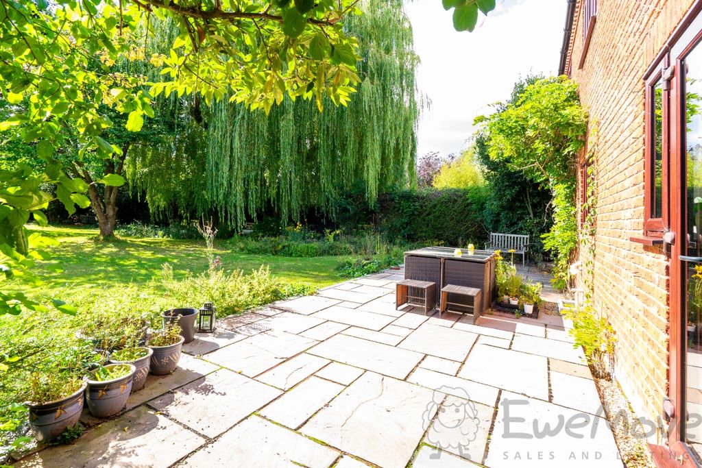 Property photo 3 of 15 South-Facing Patio Off Of The Kitchen