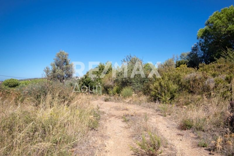 Property photo 3 of 25