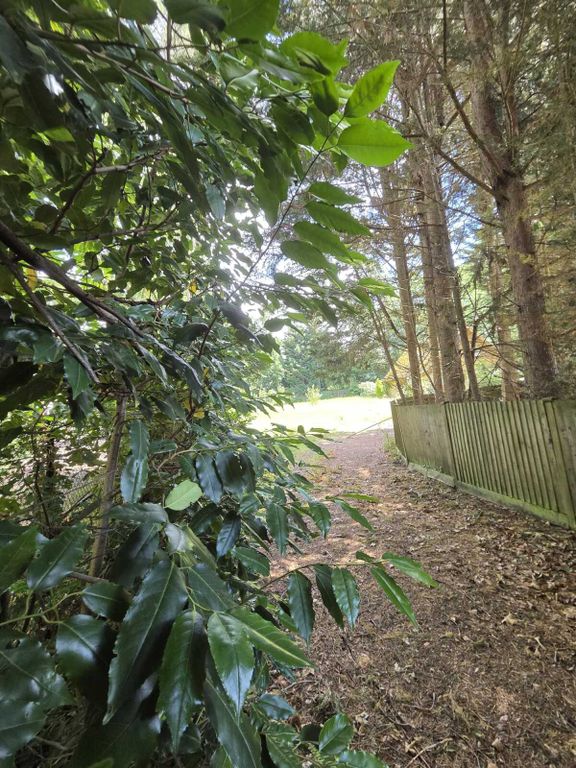 Additional image 7 of Land for salePlot Of Land, St Marys Road, Ascot, Berkshire SL5