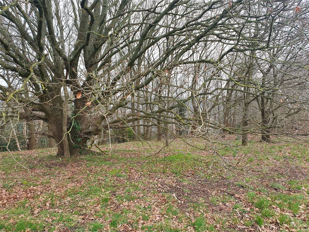 Property photo 3 of 21 View From Reserve